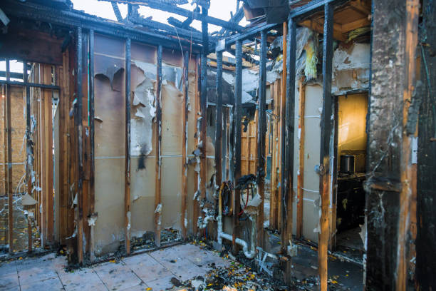 Professional Smoke Odor Removal technician working in Occoquan, VA